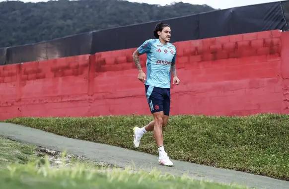 Pedro é um dos destaques do Flamengo (Foto: Gilvan de Souza / Flamengo)