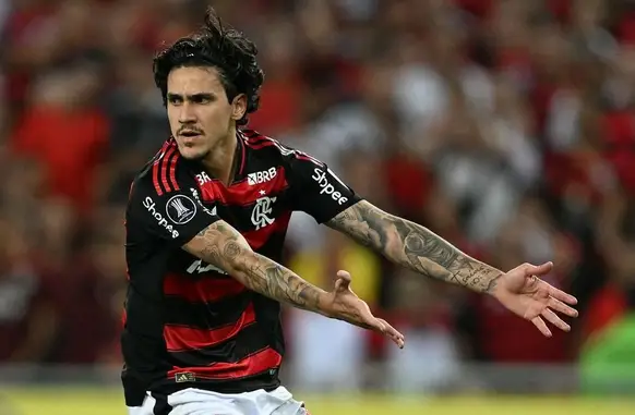 Pedro (Foto: Mauro Pimentel / AFP)