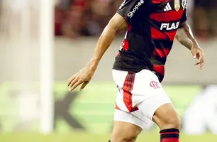 Danilo em vitória do Flamengo (Foto: Adriano Fontes/Flamengo)