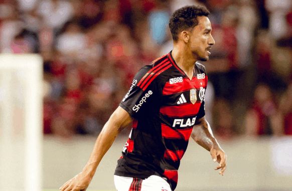 Danilo (Foto: Divulgação/Flamengo)