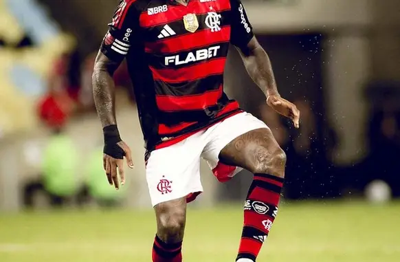 Gerson, do Flamengo, durante jogo do clube (Foto: Divulgação / Flamengo)