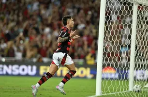 Luiz Araújo comemora gol do Flamengo sobre o Fortaleza (Foto: André Durão)