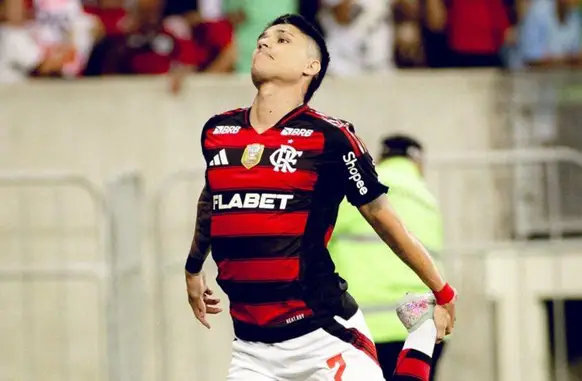 Luiz Araújo (Foto: Adriano Fontes/Flamengo)