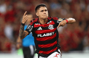 Luiz Araújo (Foto: Divulgação/Flamengo)
