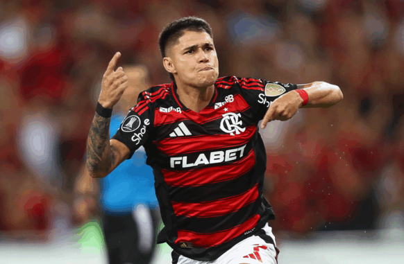 Luiz Araújo (Foto: Divulgação/Flamengo)