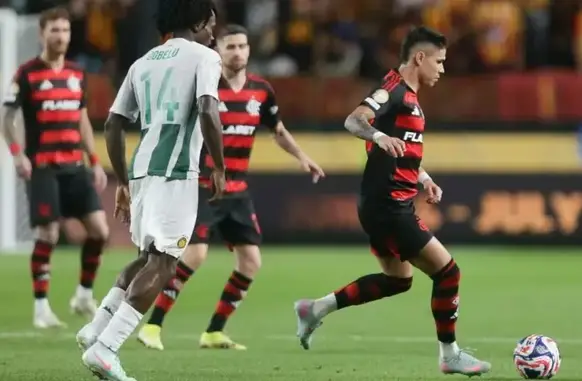 Luiz Araújo (Foto: Gilvan de Souza/Flamengo)