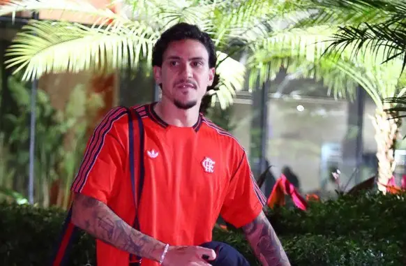Pedro (Foto: Gilvan de Souza / Flamengo)