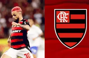 Michael (Foto: Divulgação/Flamengo)