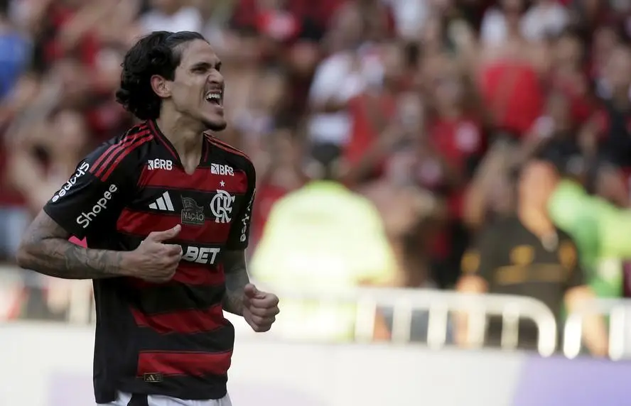 Pedro, do Flamengo