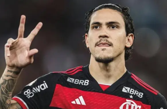 Pedro tem cinco gols em 17 jogos disputados nesta temporada (Foto: Gilvan de Souza/Flamengo)