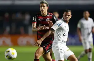 Pedro (Foto: Gilvan de Souza/Flamengo/Flickr)