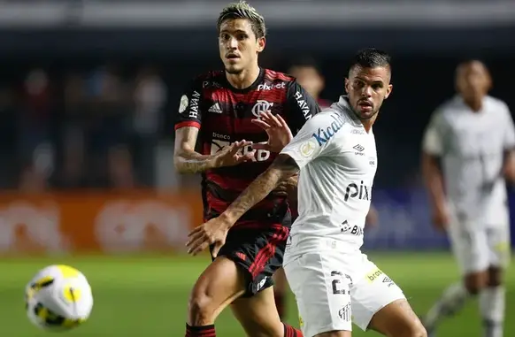 Pedro (Foto: Gilvan de Souza/Flamengo/Flickr)