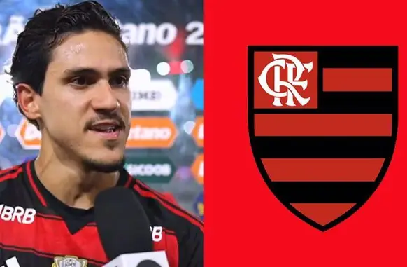 Pedro (Foto: Reprodução/Reprodução)