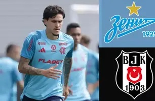 Pedro (Foto: Reprodução)