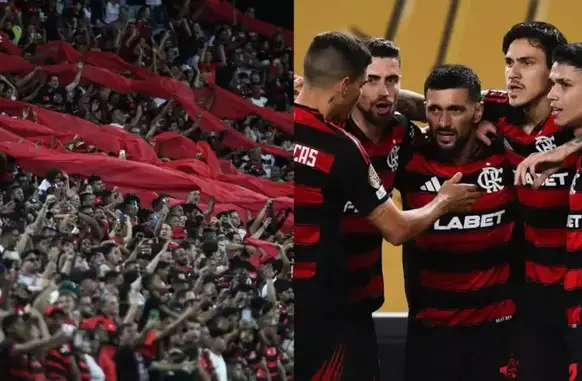 Torcida do Flamengo (Foto: Divulgação/Flamengo)