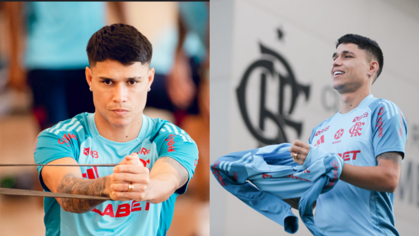 Luiz Araújo