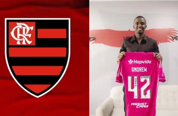 Flamengo vai apresentar 2 reforços antes de jogo contra o Vasco, pelo Carioca (Foto: Divulgação/Flamengo)